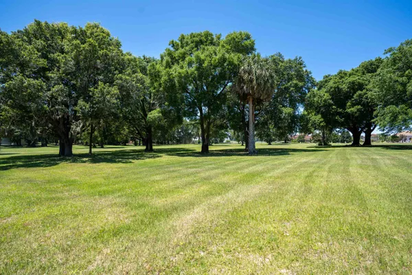 a view of green field