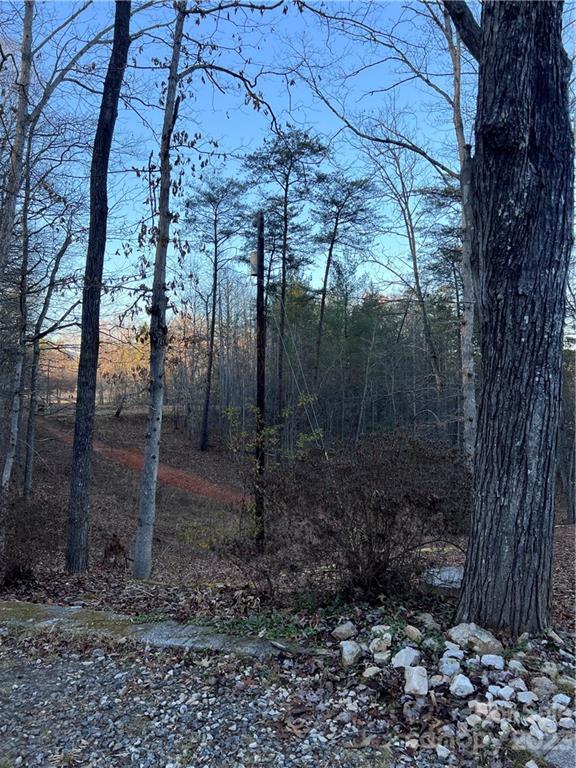 6756 Highway 9 Mill Spring, NC 28756 - Photo 11 of 46 a view of a forest with a tree