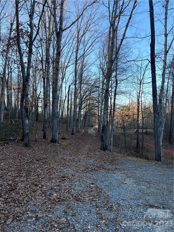 6756 Highway 9 Mill Spring, NC 28756 - Photo 12 of 46 a view of a yard with trees