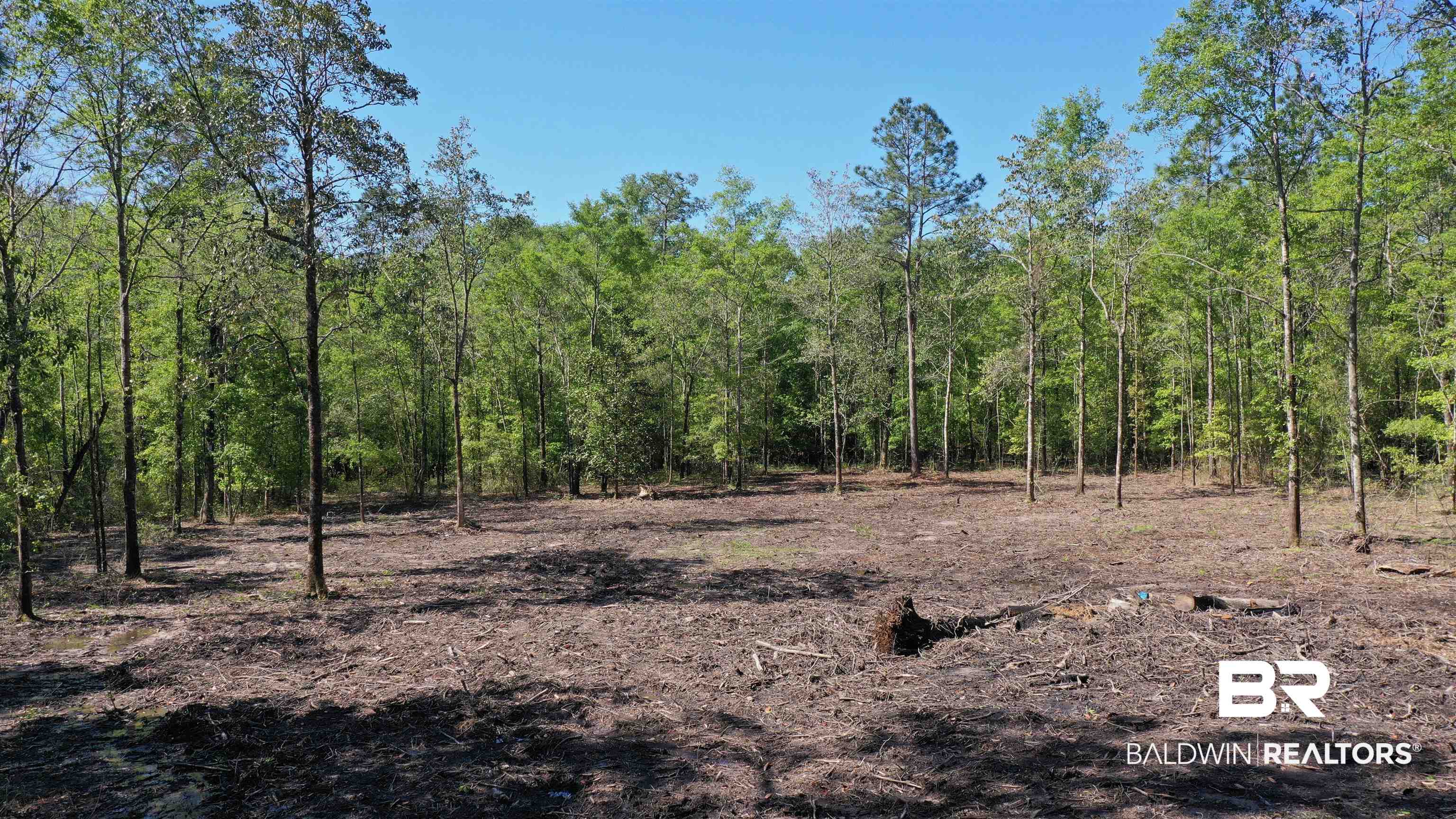 3 Brookwood Road Atmore, AL 36502 - Photo 8 of 15