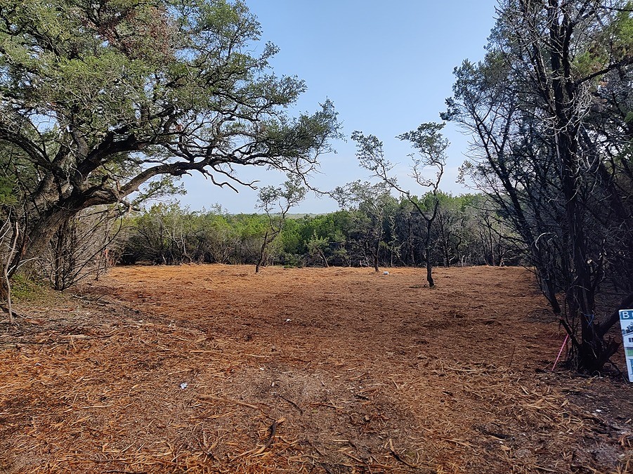 a view of dirt yard with a large tree