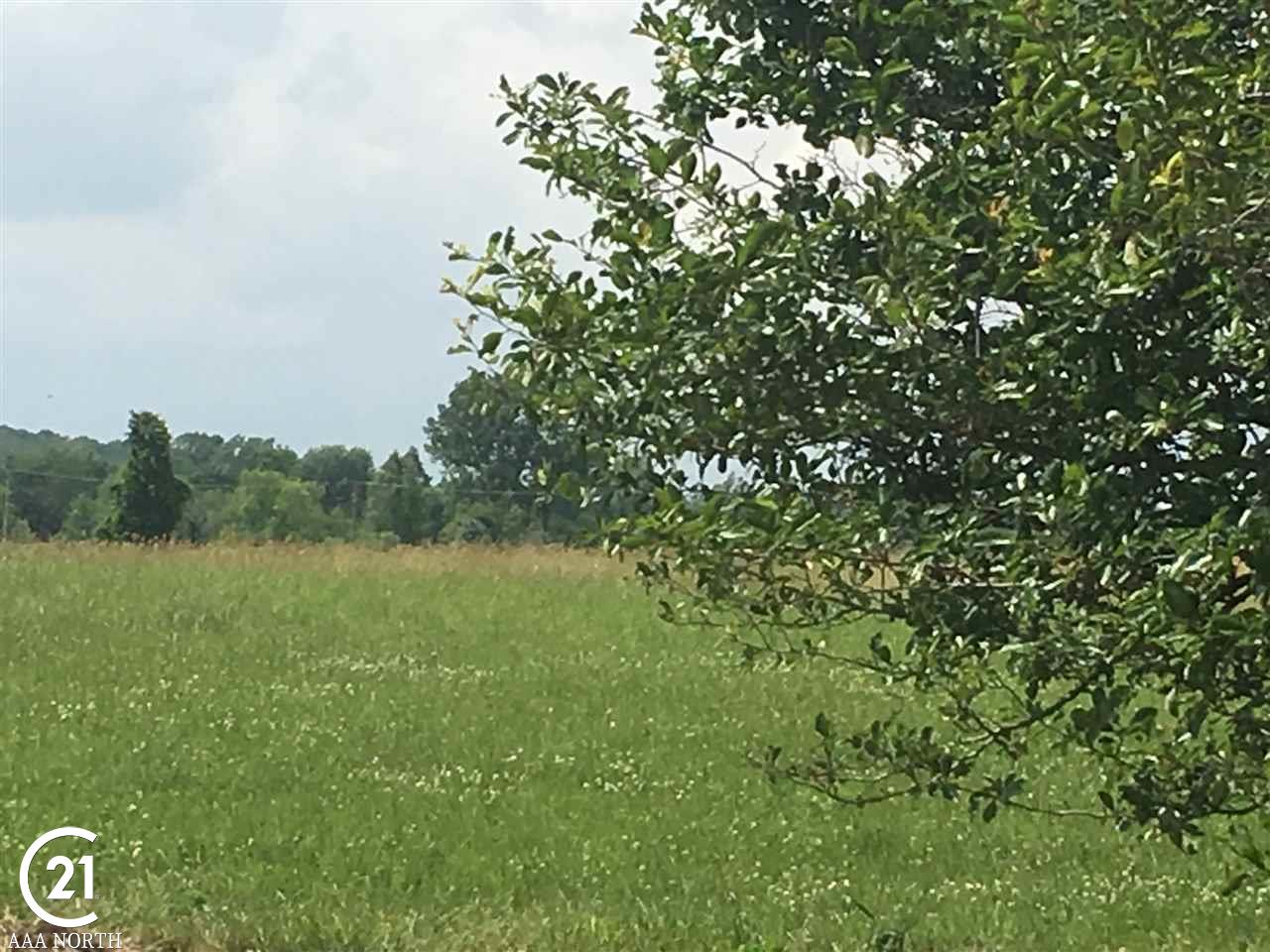 0 Kidder Road, Unit PARCEL 2 Romeo, MI 48065 - Photo 10 of 11