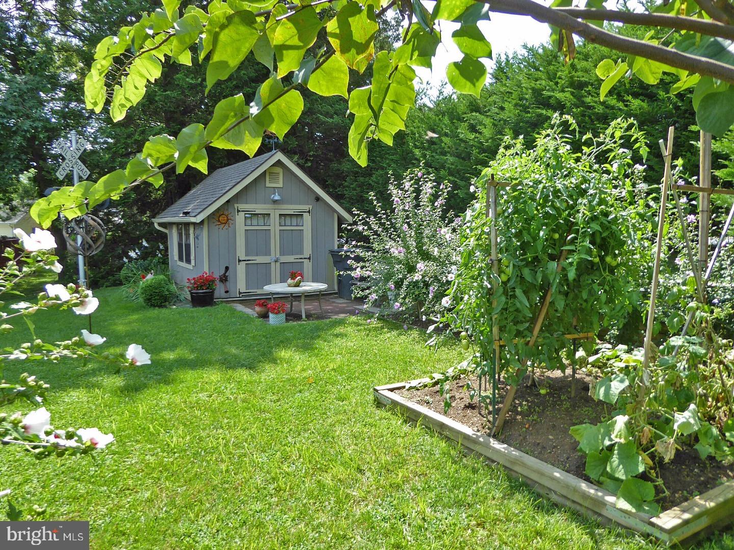 46 Vansant Road Newark, DE 19711 - Photo 20 of 23 Back Yard