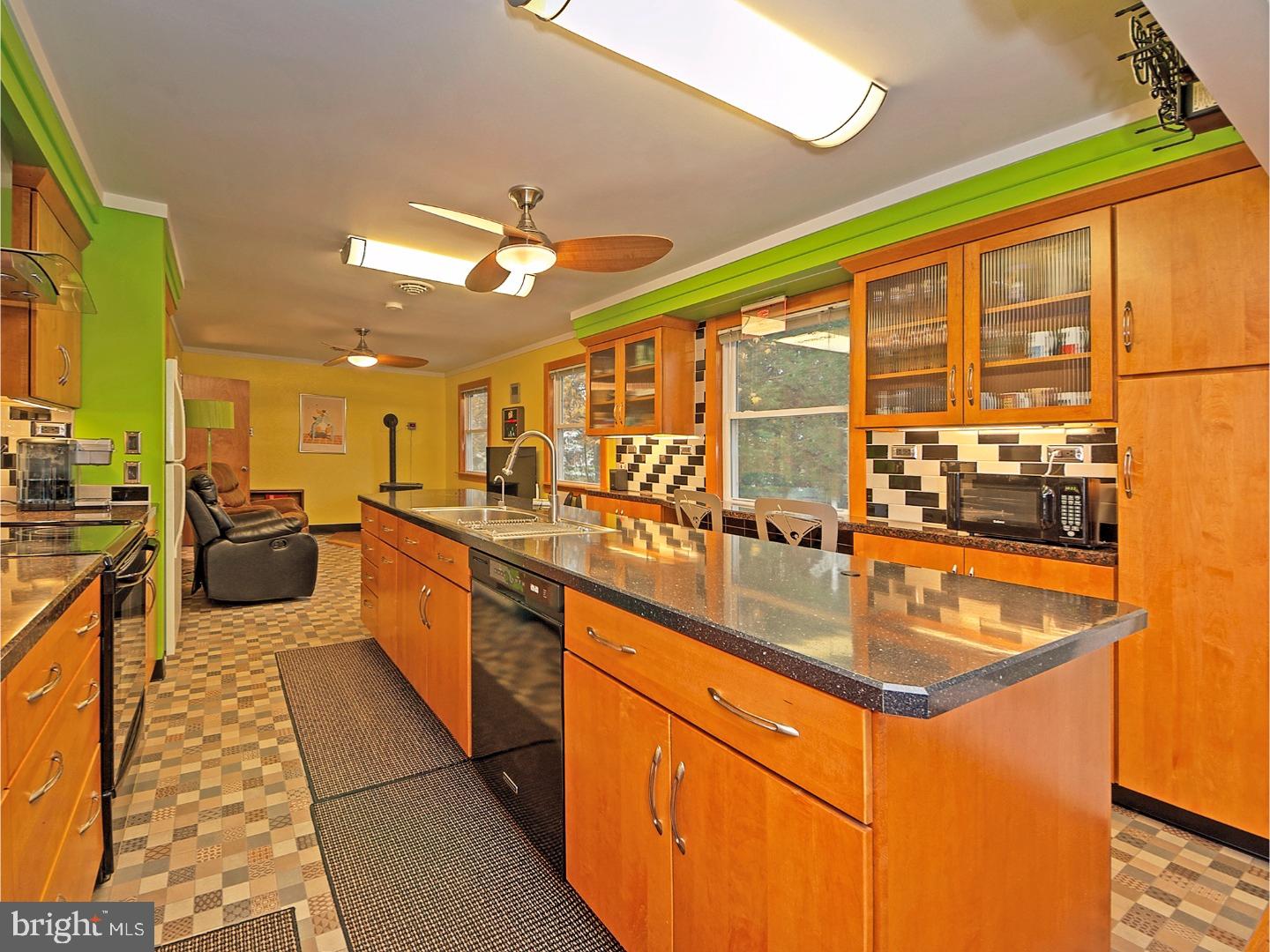 46 Vansant Road Newark, DE 19711 - Photo 6 of 23 Kitchen