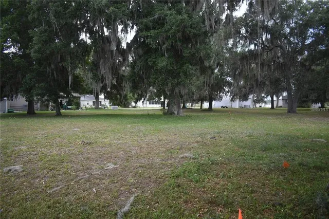 a view of a field with trees