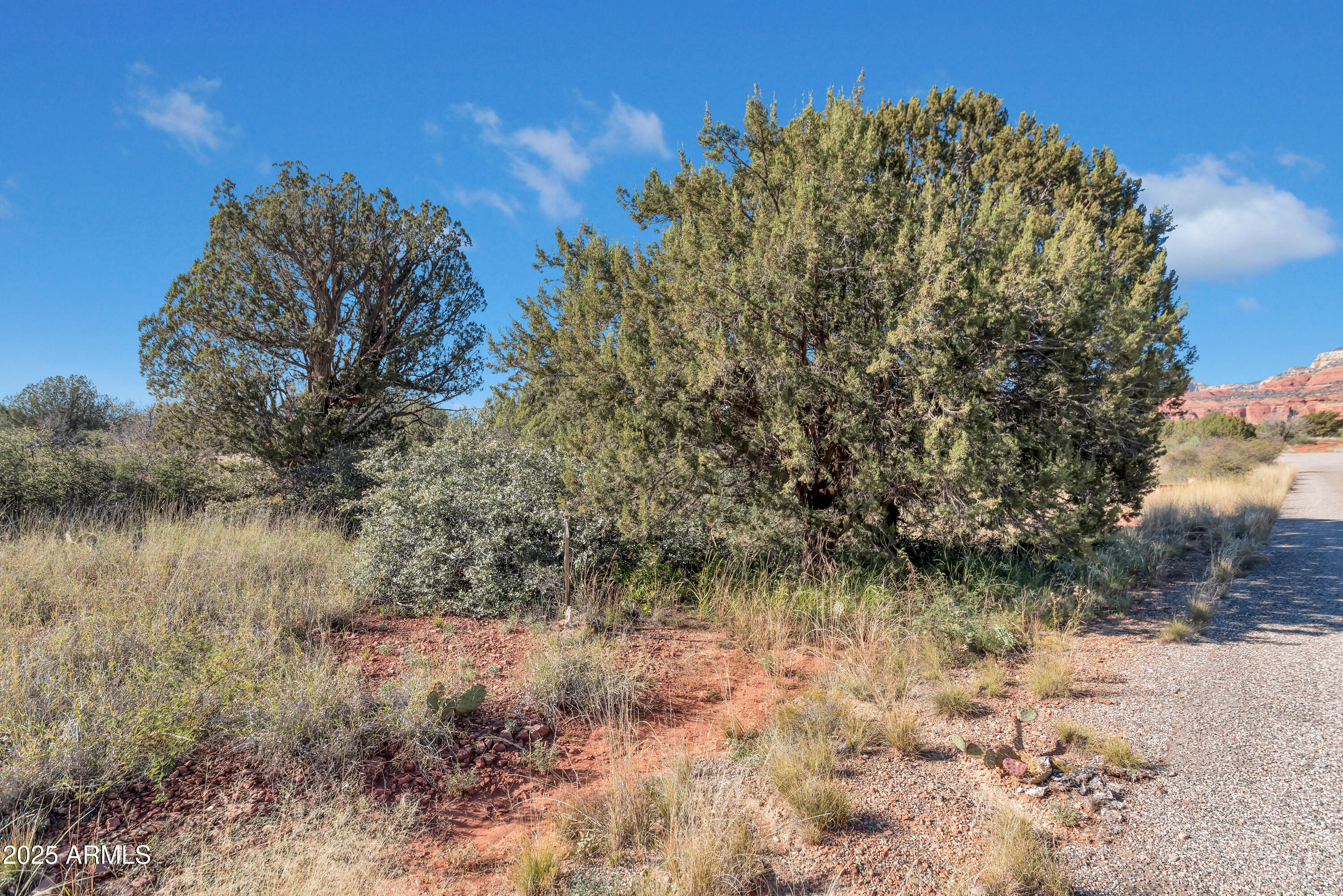 75 Estrella Road, Unit 3 Sedona, AZ 86336 - Photo 15 of 28 a view of a yard with a tree