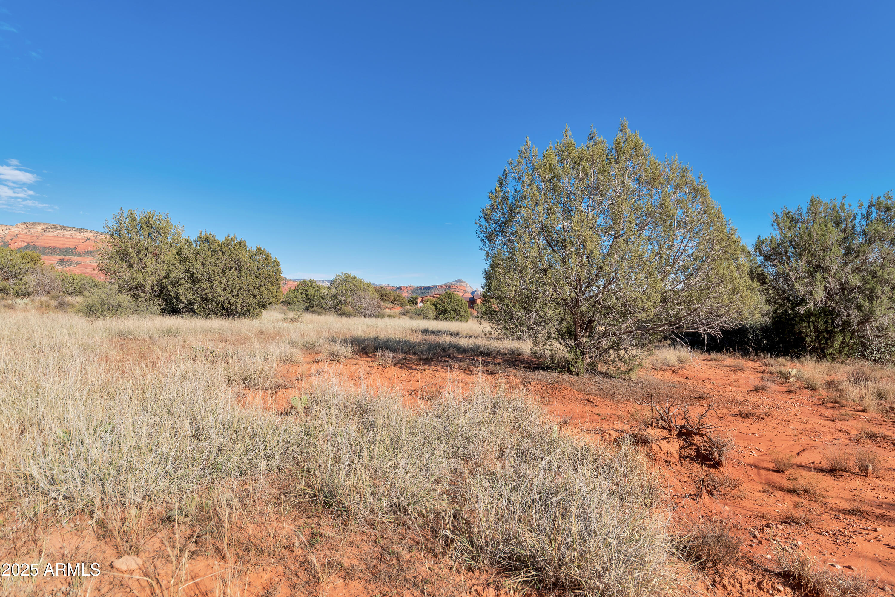 75 Estrella Road, Unit 3 Sedona, AZ 86336 - Photo 21 of 28 a view of a yard with a tree