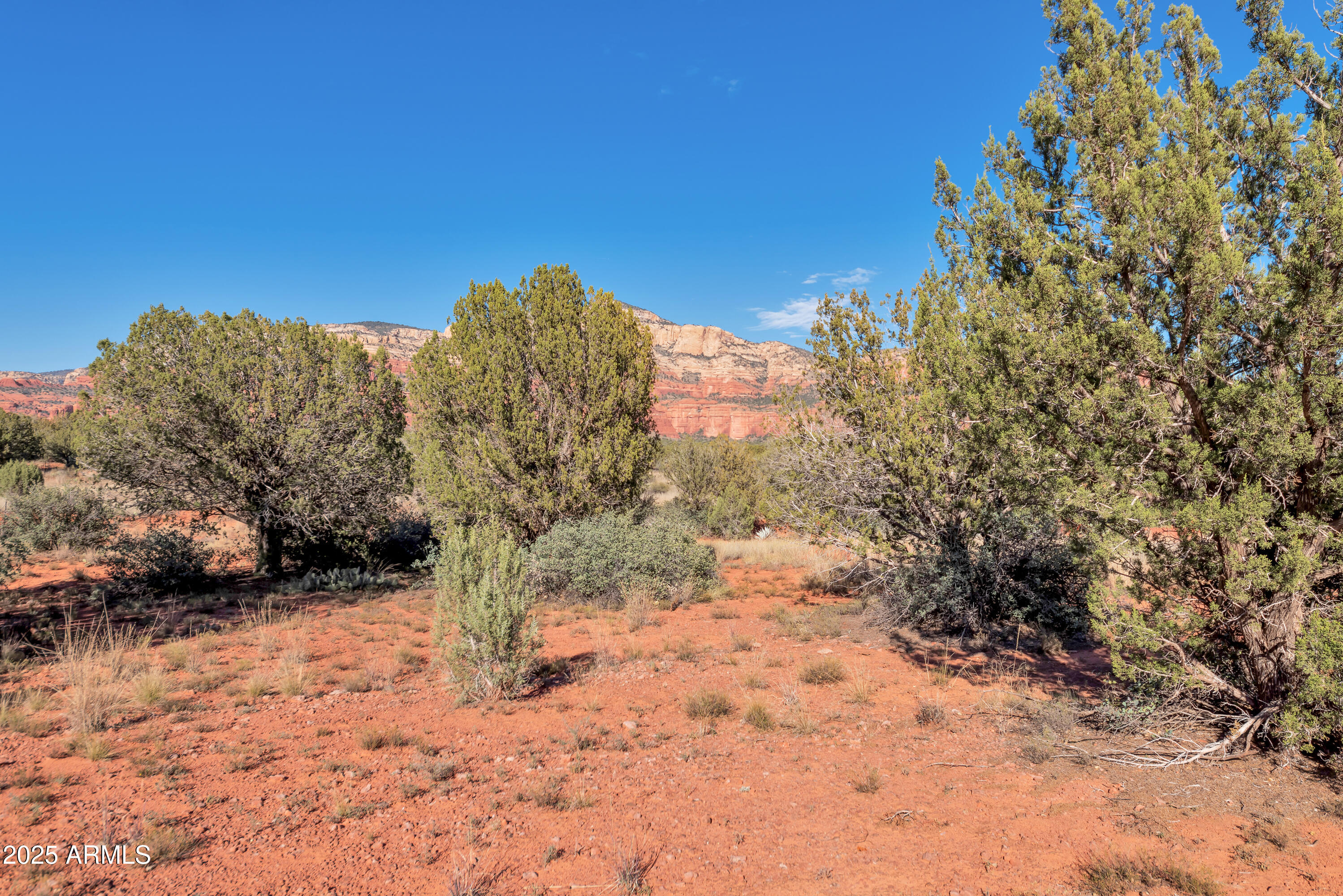 75 Estrella Road, Unit 3 Sedona, AZ 86336 - Photo 4 of 28 a view of a yard with a tree