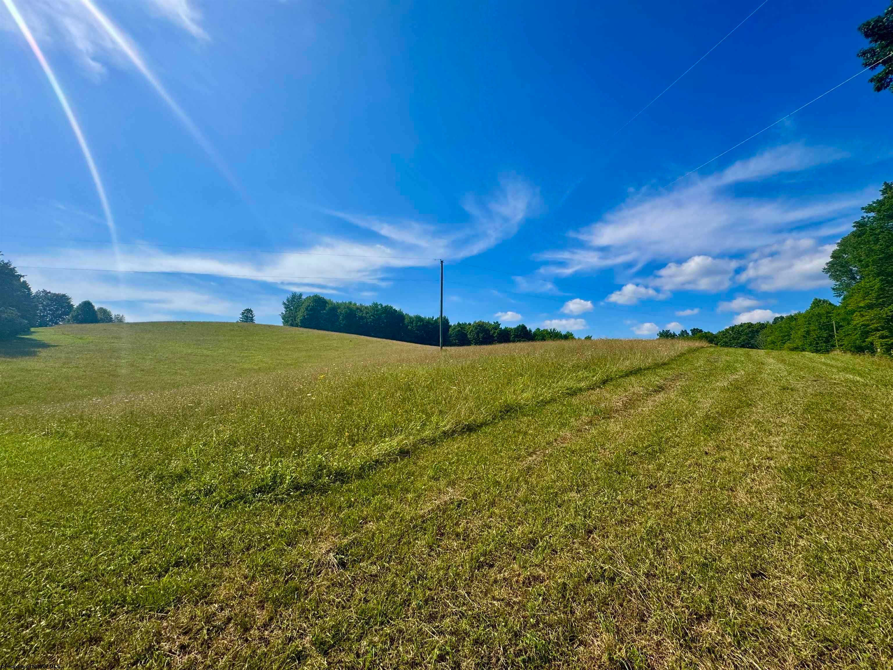 Tbd Red Rock Road Rowlesburg, WV 26425 - Photo 41 of 46 Gallery Image 41
