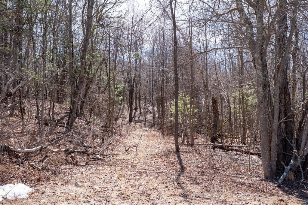 0 Main Road Granville, MA 01034 - Photo 11 of 13 a view of outdoor space with lots of trees