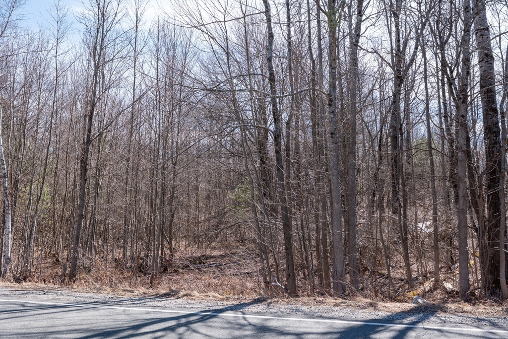 0 Main Road Granville, MA 01034 - Photo 13 of 13 a view of a dry yard with pathway