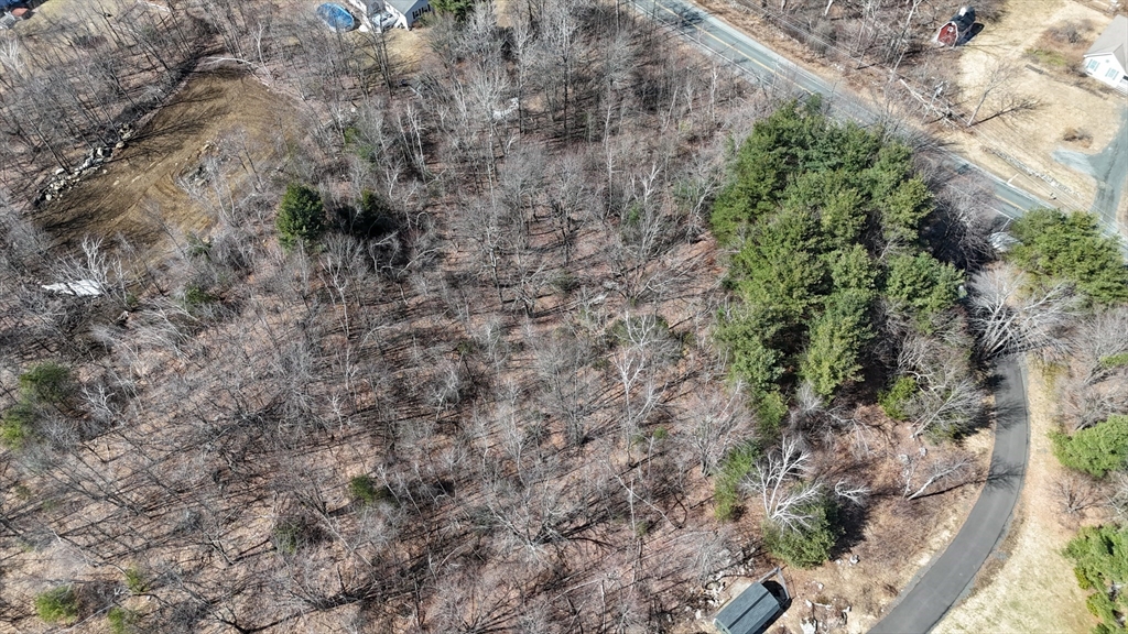 0 Main Road Granville, MA 01034 - Photo 7 of 13 a view of a forest with a tree