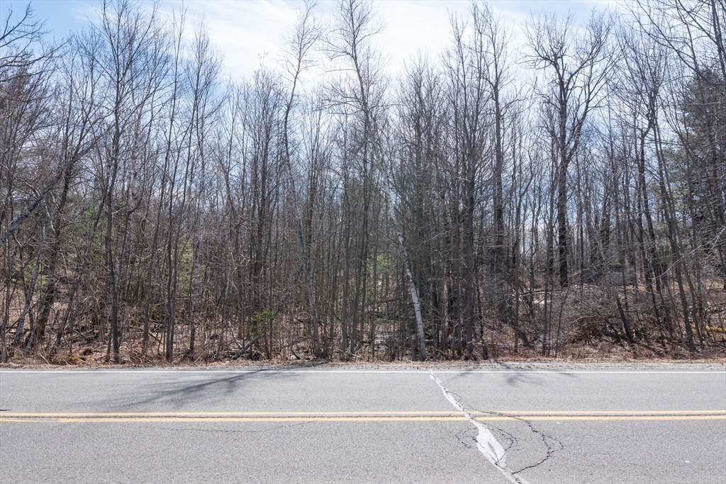 0 Main Road Granville, MA 01034 - Photo 8 of 13 a view of a yard