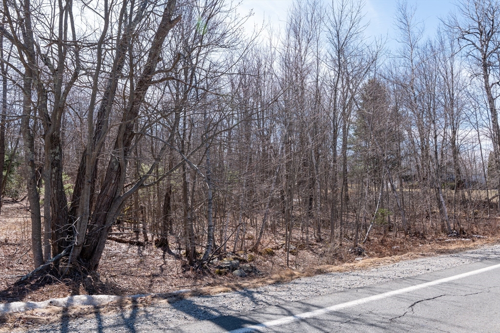 0 Main Road Granville, MA 01034 - Photo 9 of 13 a view of a yard with trees