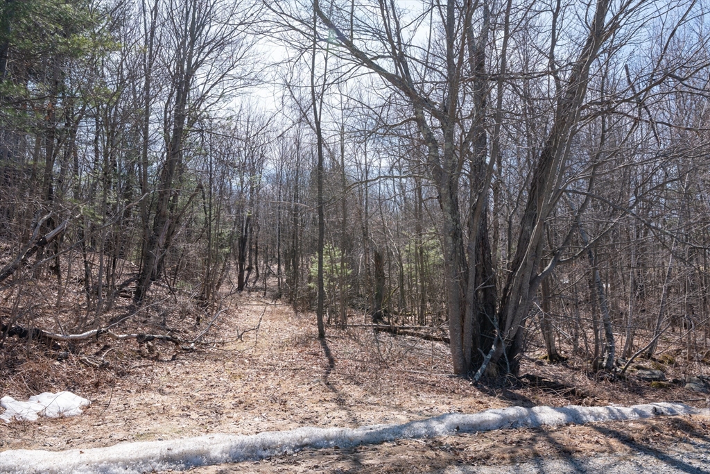0 Main Road Granville, MA 01034 - Photo 10 of 13 a backyard of a house with lots of trees