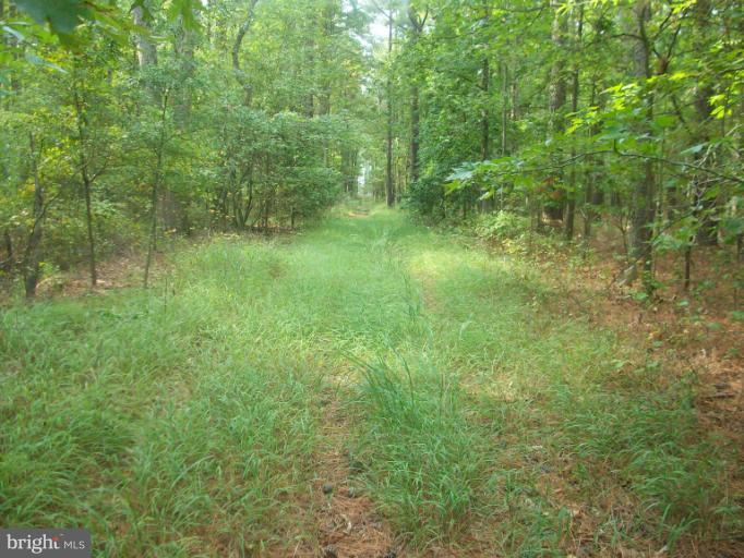2213 Andrews Road Crapo, MD 21626 - Photo 6 of 7 View