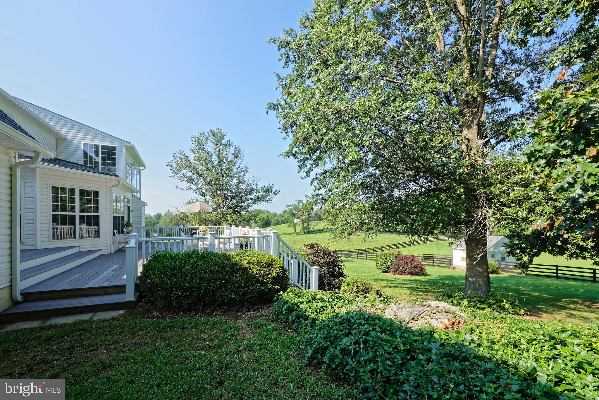 22865 Foxcroft Road Middleburg, VA 20117 - Photo 46 of 112 View from studio back deck towards main deck