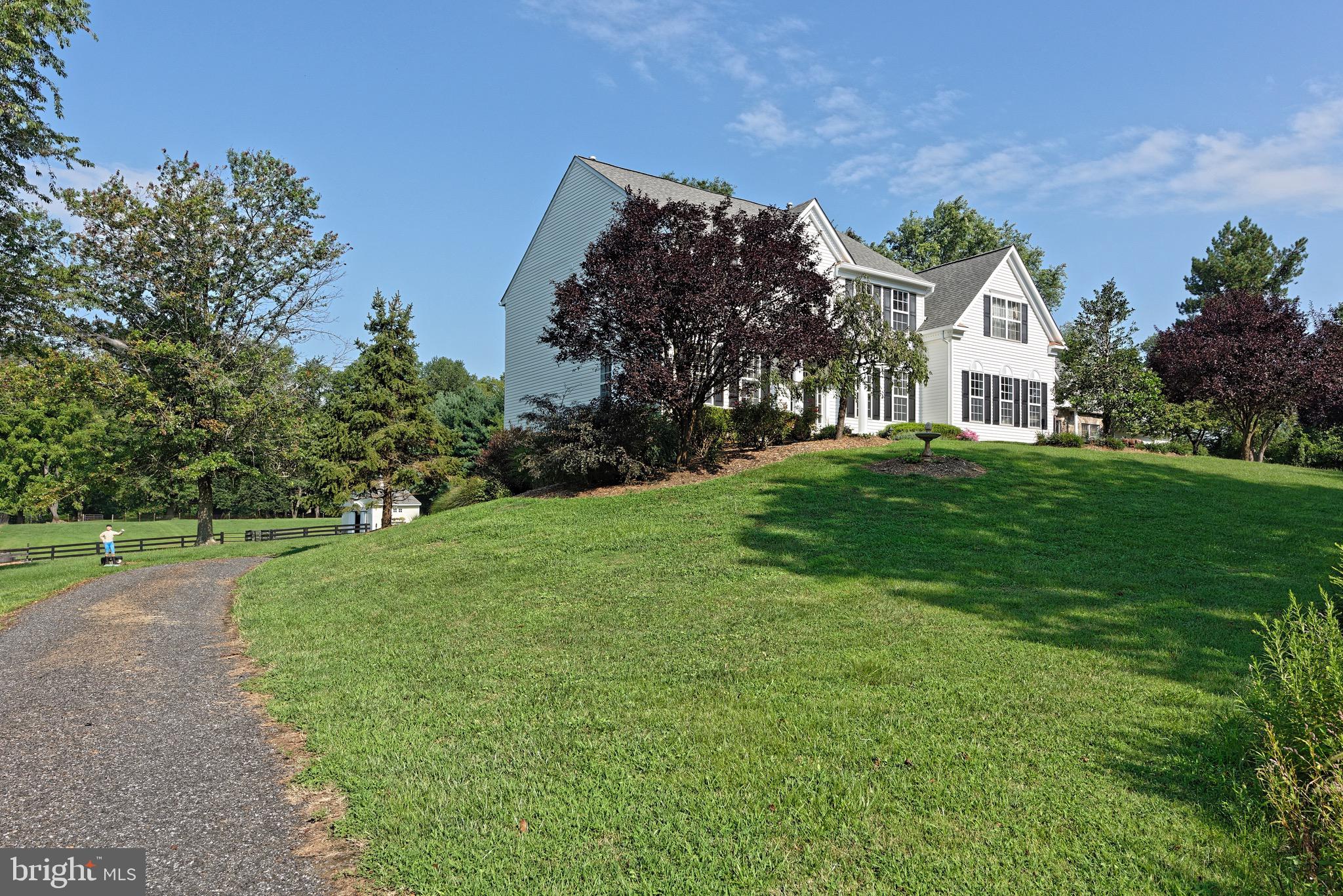 22865 Foxcroft Road Middleburg, VA 20117 - Photo 50 of 112 Side gravel driveway leads to back lawn area