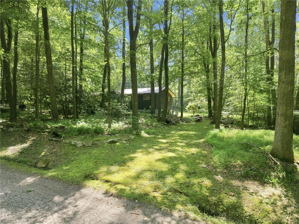 77 Spruce Peak Road Acme, PA 15610 - Photo 29 of 35 a view of outdoor space and trees