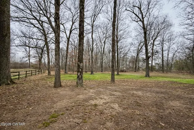a view of a yard with an outdoor space