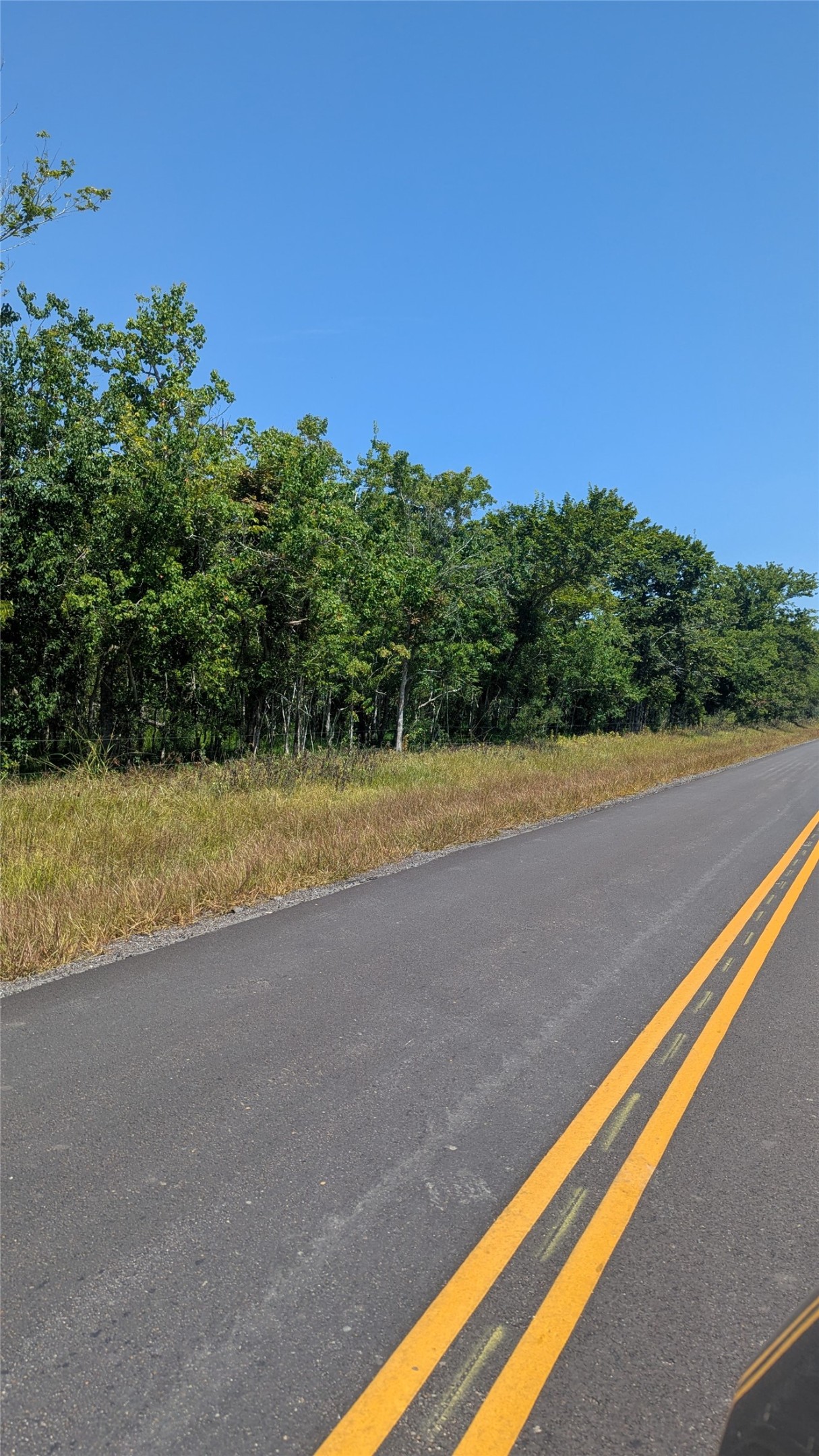 3 Sandpiper Rd/cr 420 Angleton, TX 77515 - Photo 8 of 9 Newly resurfaced road frontage along the property