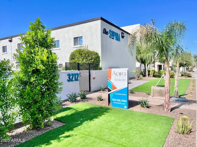 a view of a backyard with plants