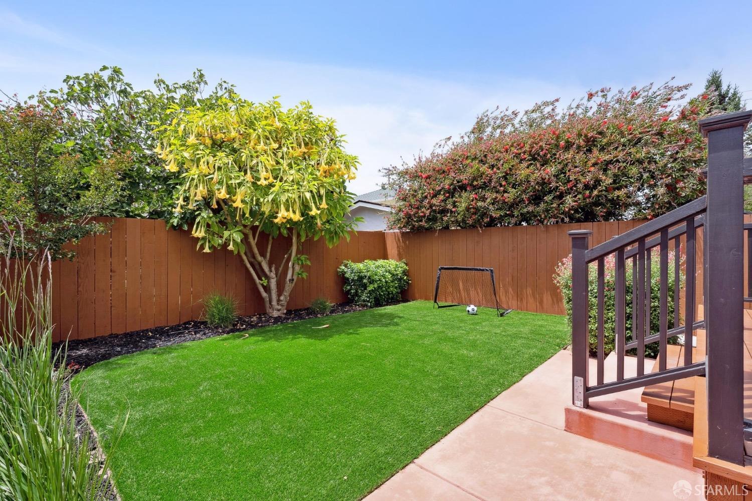 508 Talbot Avenue Albany, CA 94706 - Photo 57 of 66 a view of a backyard with plants and large trees