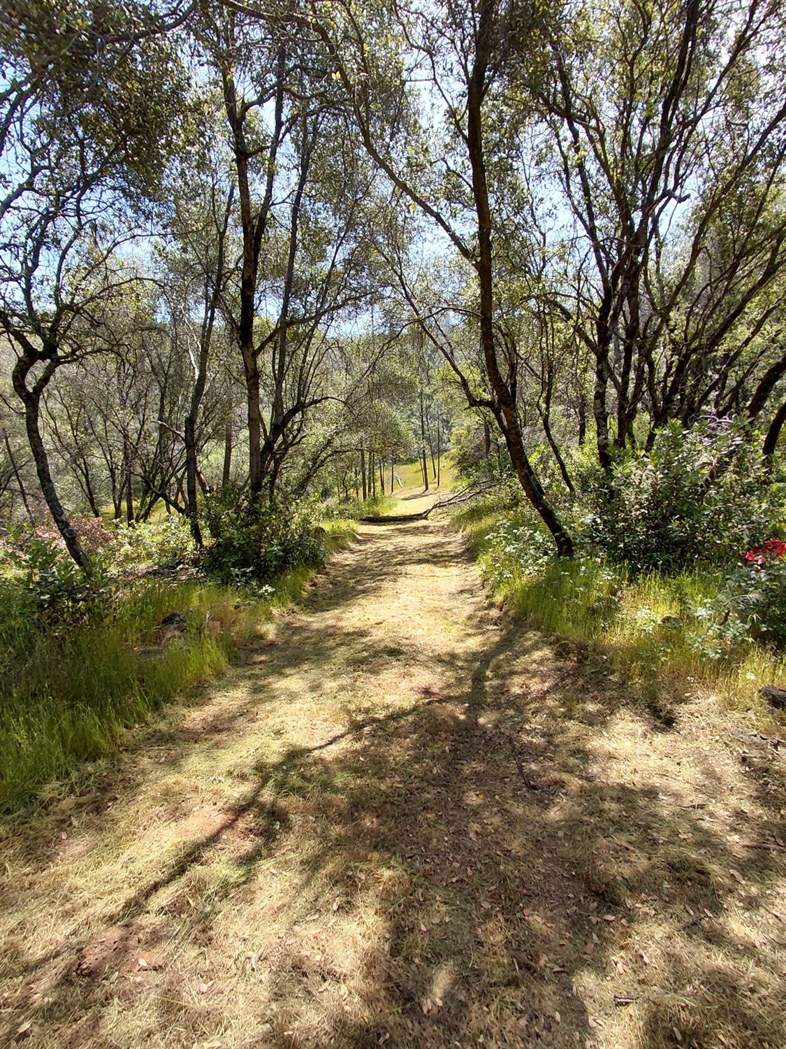 0 Swedes Flat Road Oroville, CA 95966 - Photo 7 of 23