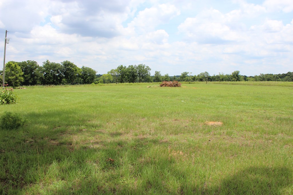 0 County Road Headland, AL 36345 - Photo 2 of 3