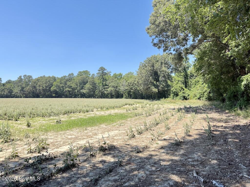 500 Indian Trail Road Edenton, NC 27932 - Photo 50 of 60
