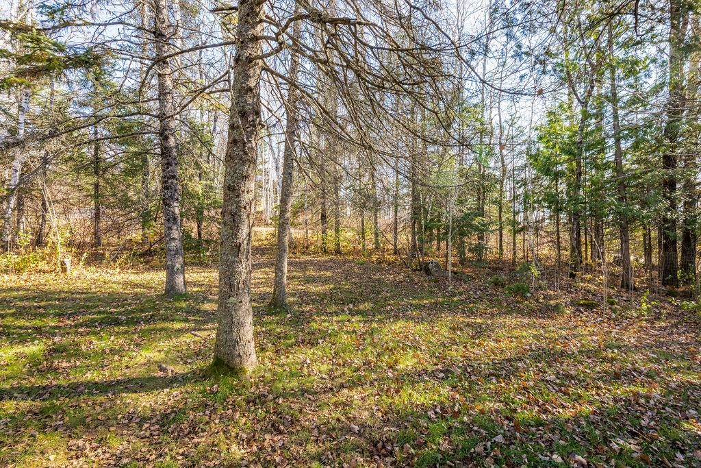 5211 Albert Olson Road Duluth, MN 55804 - Photo 36 of 49