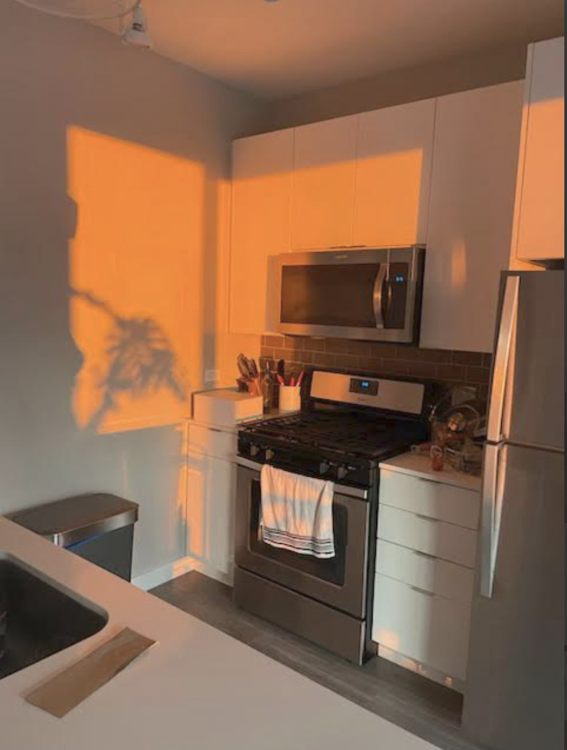 833 North Clark Street, Unit 2408 Chicago, IL 60610 - Photo 5 of 21 a kitchen with stainless steel appliances a stove a microwave and a sink