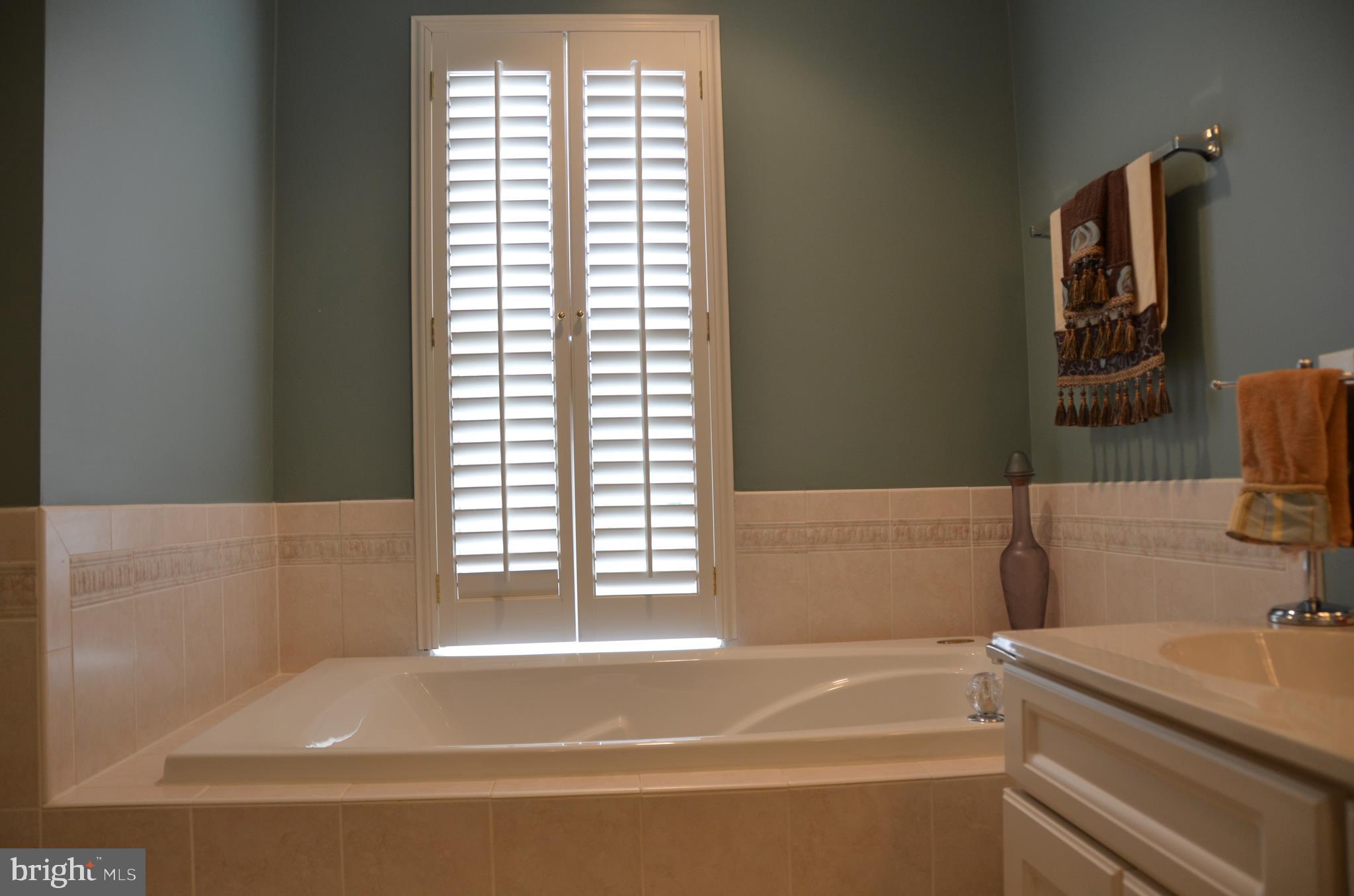 113 Warwick Road Princeton Junction, NJ 08550 - Photo 15 of 31 a bathroom with a bathtub and a sink