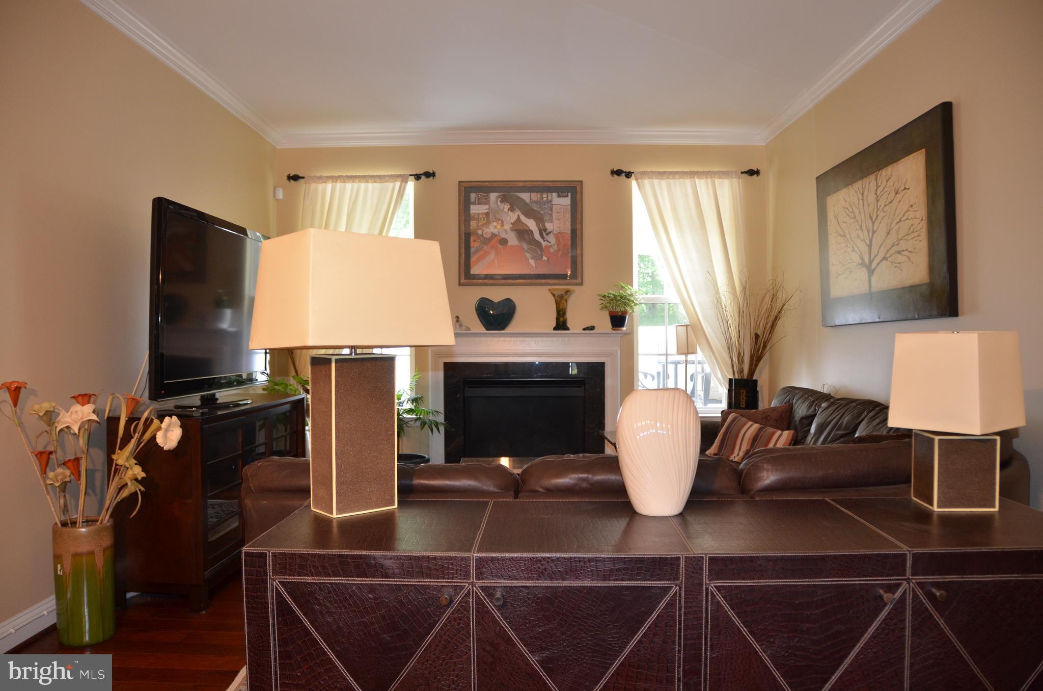 113 Warwick Road Princeton Junction, NJ 08550 - Photo 4 of 31 a living room with furniture a flat screen tv and a fireplace