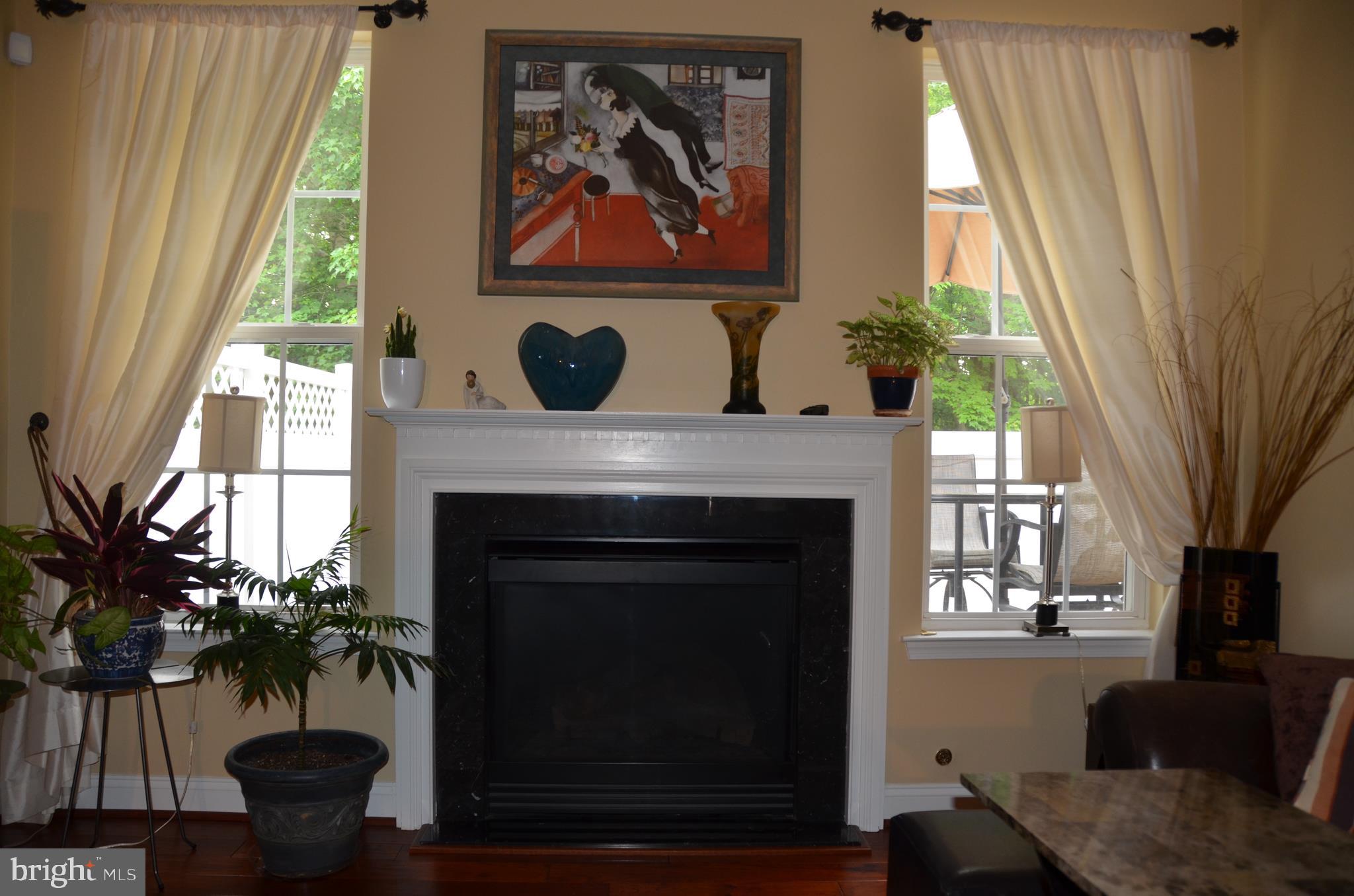 113 Warwick Road Princeton Junction, NJ 08550 - Photo 8 of 31 a living room with furniture and a fireplace