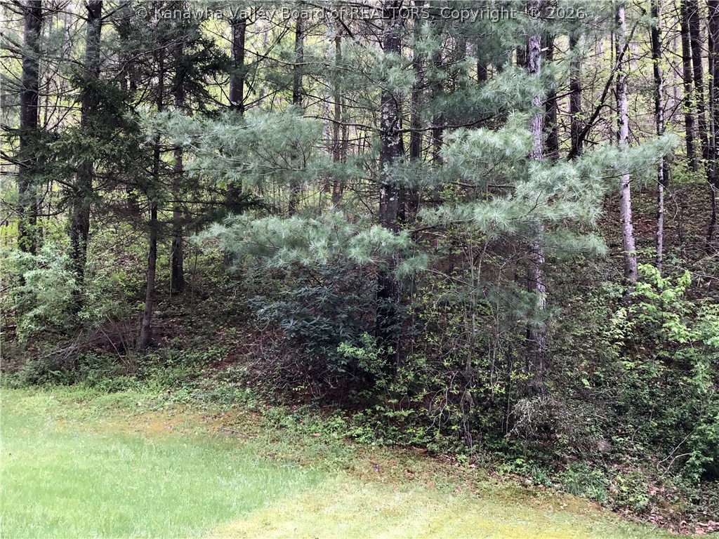781 Gabe Road Clendenin, WV 25045 - Photo 15 of 25 Gallery Image 15
