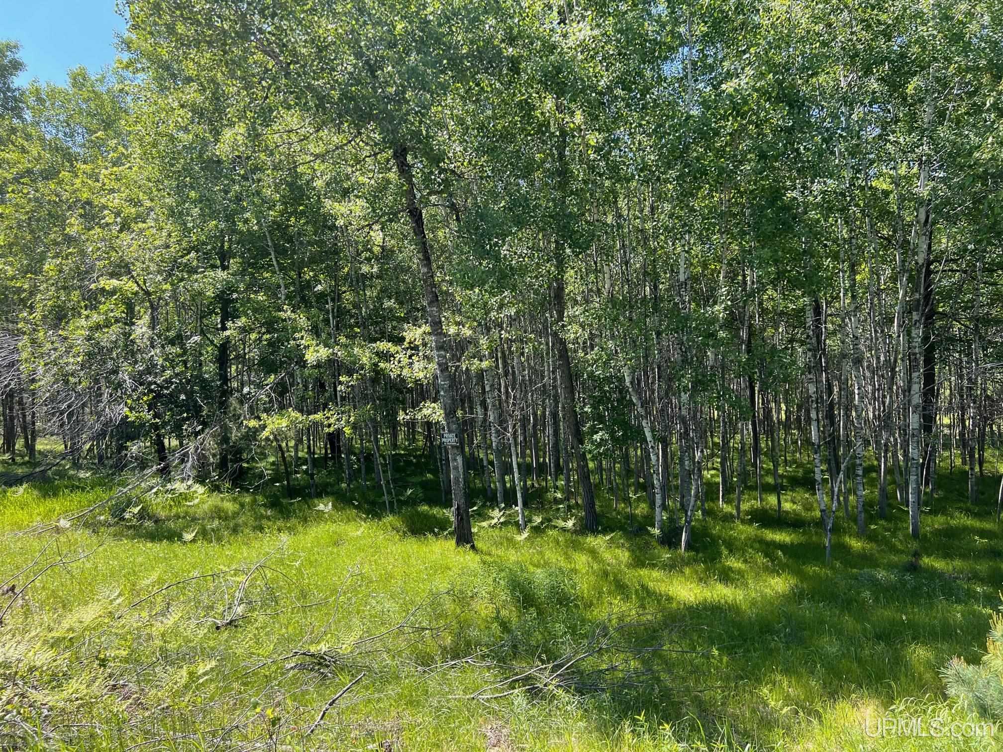 607 County 607 Road Iron Mountain, MI 49801 - Photo 3 of 4