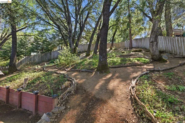 a view of a backyard with large trees and wooden fence