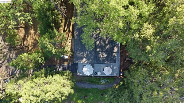 a view of a garden