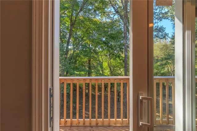 a view of a forest with trees in the background