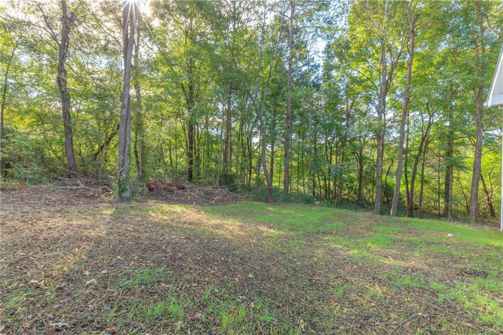 55 Reece Street Menlo, GA 30731 - Photo 36 of 46 a view of a forest with trees in the background