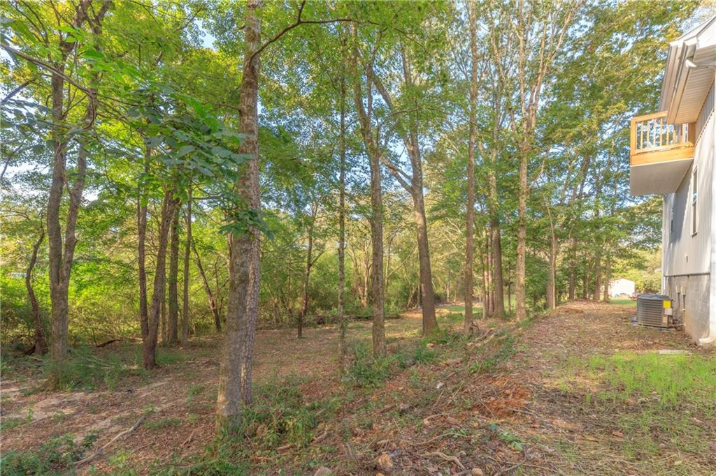 55 Reece Street Menlo, GA 30731 - Photo 37 of 46 a view of outdoor space and tree