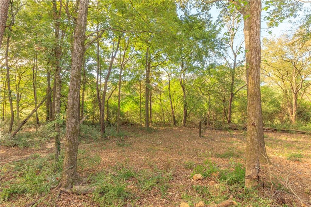 55 Reece Street Menlo, GA 30731 - Photo 38 of 46 a view of dirt yard
