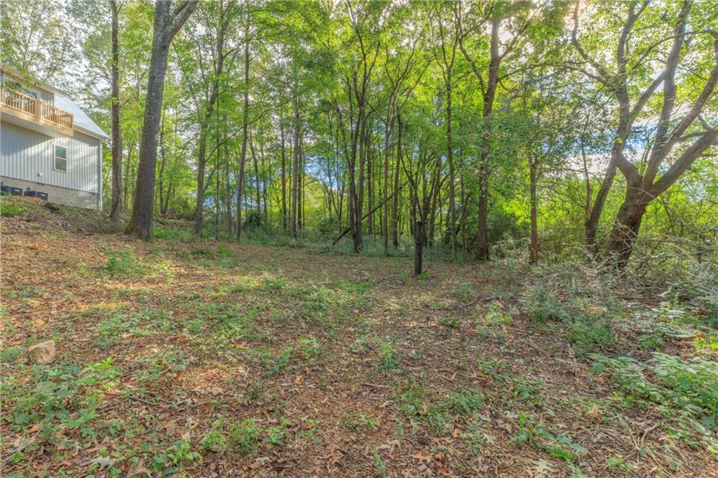 55 Reece Street Menlo, GA 30731 - Photo 39 of 46 a view of outdoor space and view