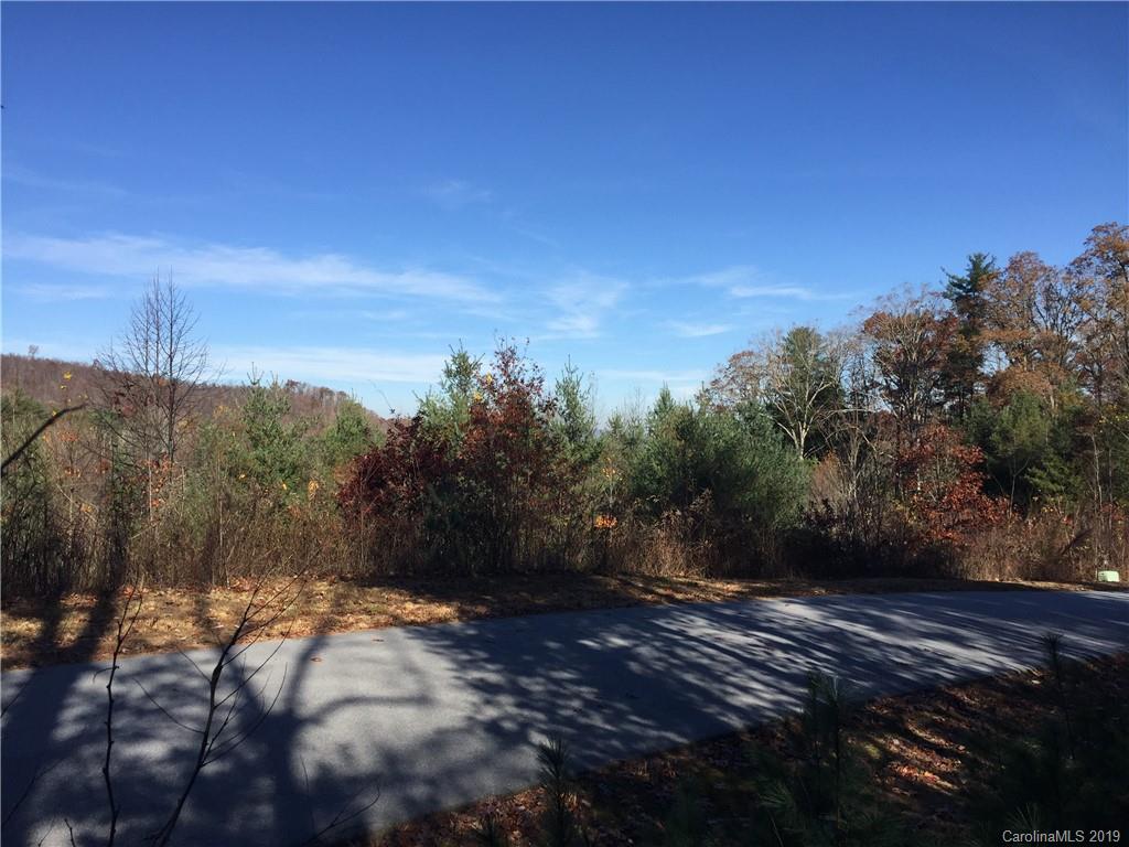 111 Horseshoe Ridge Trail, Unit 111 Hendersonville, NC 28739 - Photo 2 of 9 a view of a yard
