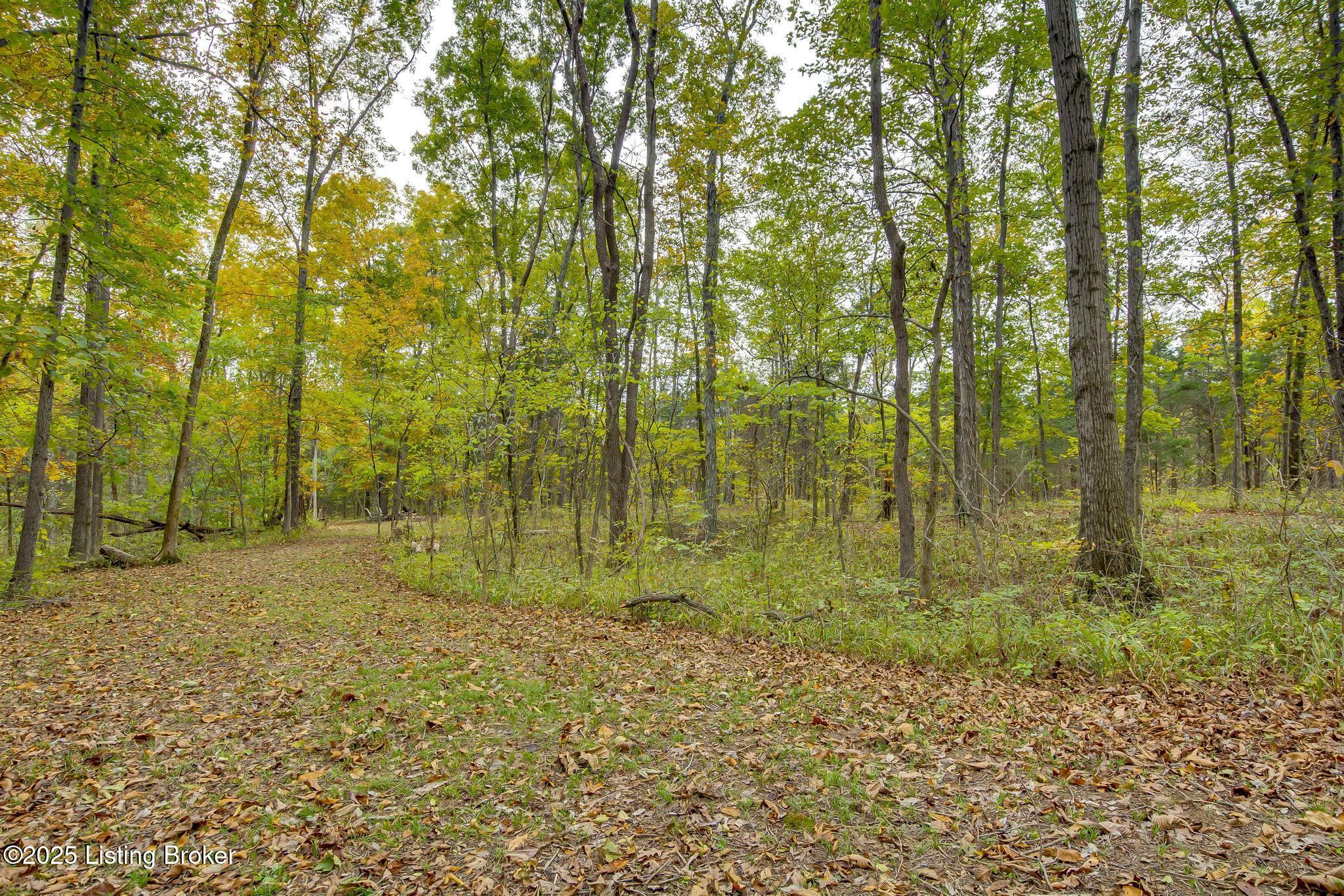 Lot 8 Bray Ridge Road Bedford, KY 40006 - Photo 35 of 46 BrayRidgeRd_765