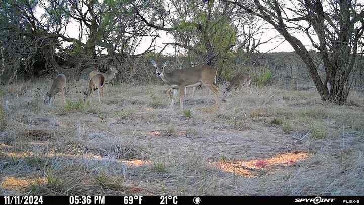 2055 County Road 472 Rochelle, TX 76872 - Photo 11 of 24