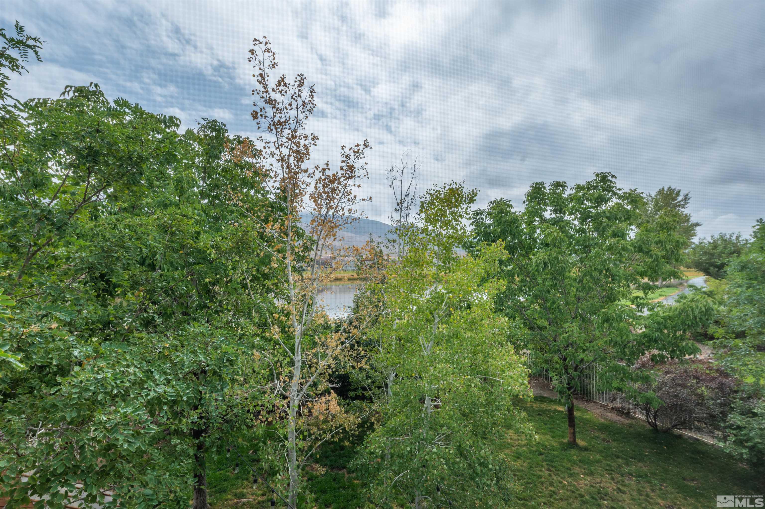 10124 Cascade Falls Drive Reno, NV 89521 - Photo 16 of 40 Photo 16