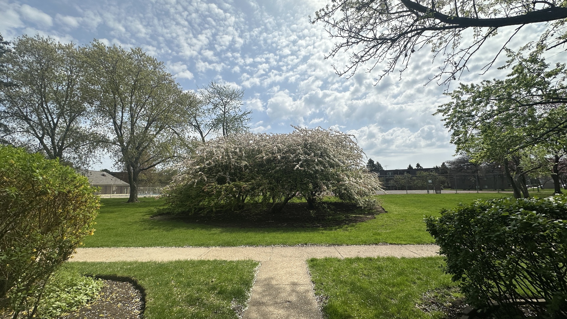 118 East Bailey Road, Unit D Naperville, IL 60565 - Photo 14 of 15 a view of a field of grass and trees