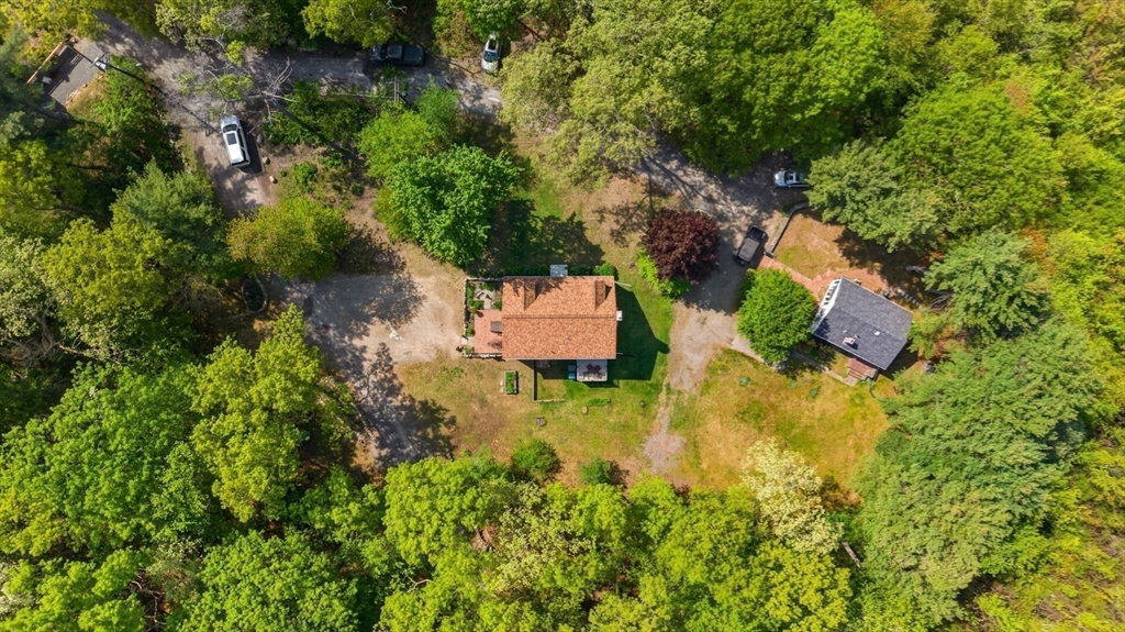 55 Lake Road Canton, MA 02021 - Photo 10 of 42